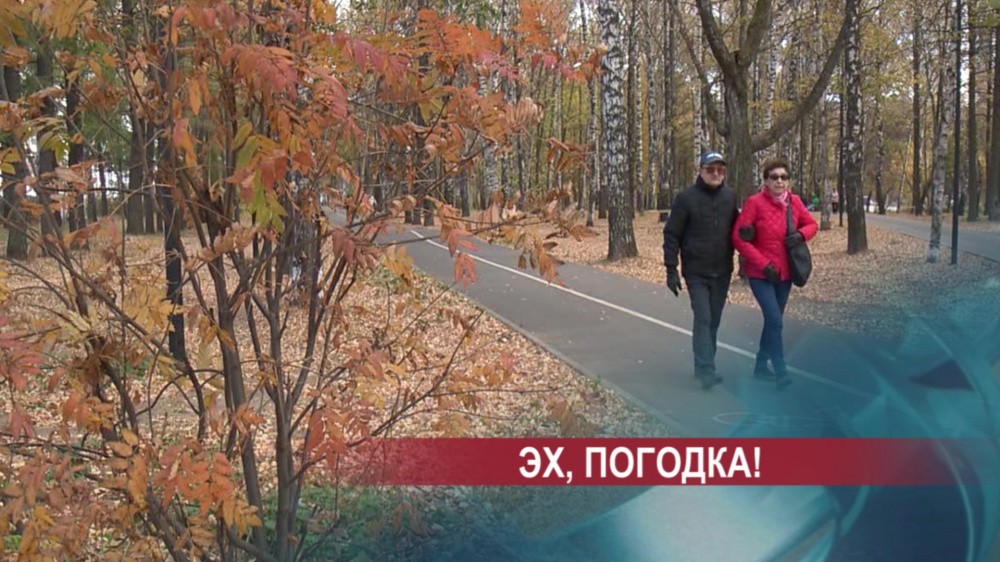 Вторжение в Нижегородскую область из Северной Европы: ночные заморозки и чего ждать дальше? Вторжение в Нижегородскую область из Северной Европы: ночные заморозки и чего ждать дальше?