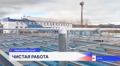 На Нижегородской станции аэрации насчитывается от 15 до 19 микроорганизмов