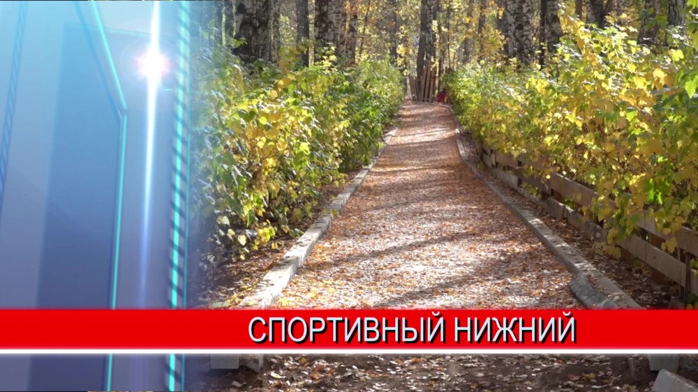 В парке "Швейцария" могут появиться спортивные площадки и территории для дрессировки собак В парке "Швейцария" могут появиться спортивные площадки и территории для дрессировки собак