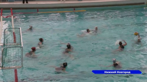 Спортсменки команды «Дельфин» вышли в лидеры Первенства России по водному поло среди девушек до 16 лет