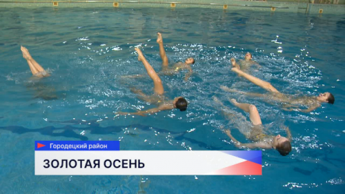Всероссийский турнир по синхронному плаванию «Золотая осень» стартовал в Нижегородской области