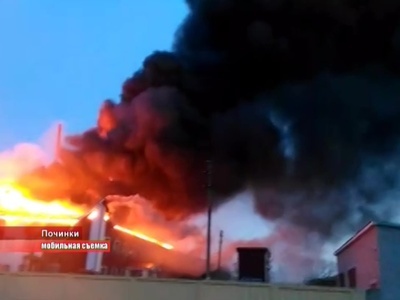 Пожар на хлебозаводе в Починковском районе тушили 5 часов