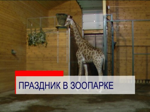 Карта зоопарка лимпопо нижний новгород