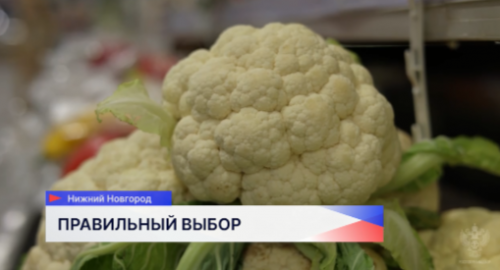 Управление Роспотребнадзора по Нижегородской области дало рекомендации по выбору овощей и фруктов