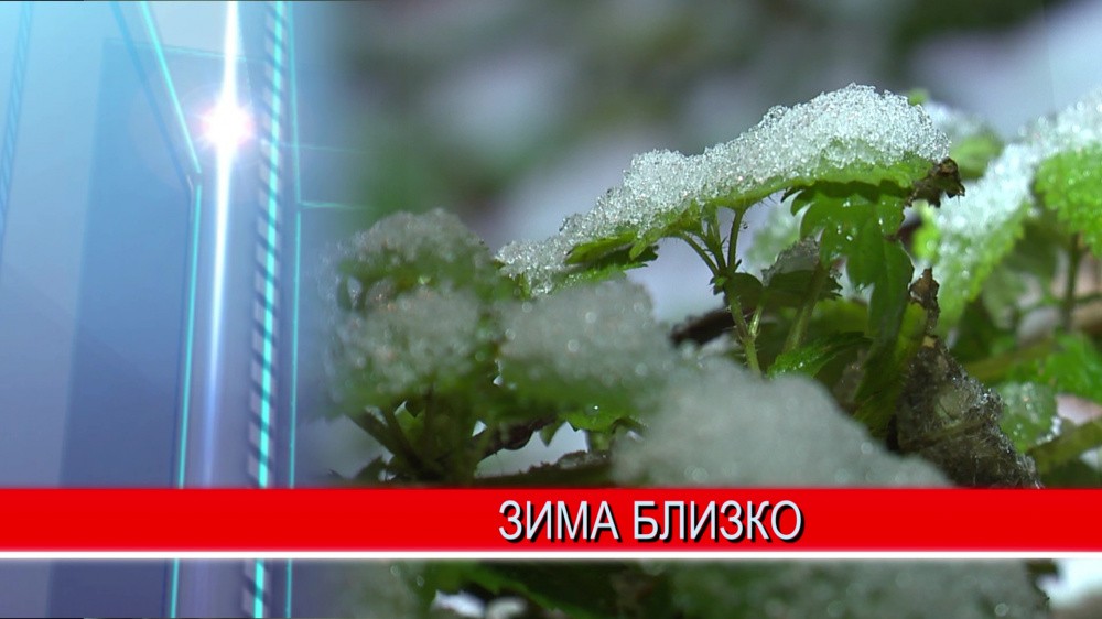 Мокрый снег способствовал ухудшению дорожной обстановки в Нижегородской области