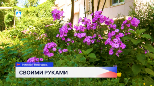 Жители дома на улице Родионова создали цветущий сад в своём дворе