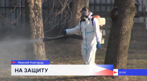 Обработка от клещей в нижегородских парках начнётся 4 мая