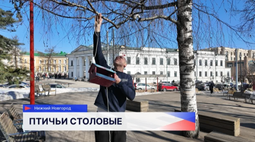 Свыше сотни кормушек для птиц смастерили и развесили нижегородцы вместе с социальными участковыми