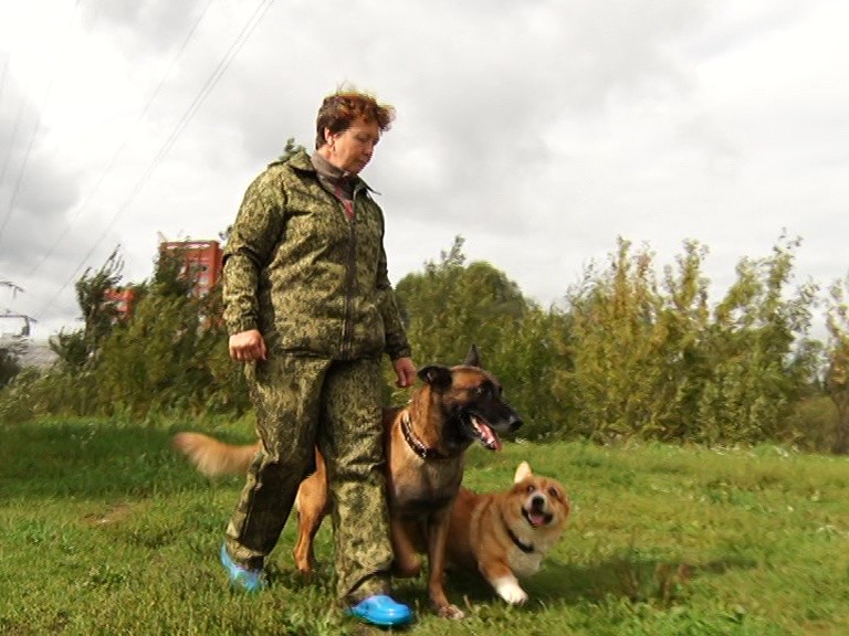 Нижегородские полицейские продемонстрировали, как тренируют собаку породы корги для поиска наркотиков