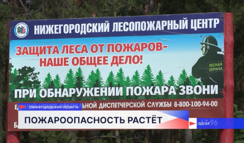 Разведение костров запретили в связи с пожарной опасностью в Нижегородской области