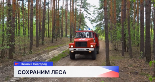 Свыше 150 километров минерализованных полос установили в Сормовском и Московском районах Нижнего Новгорода