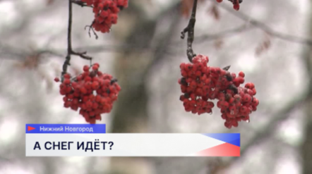 Ночь на вторник в регионе ожидается самая холодная: в большинстве районов до минус 8 