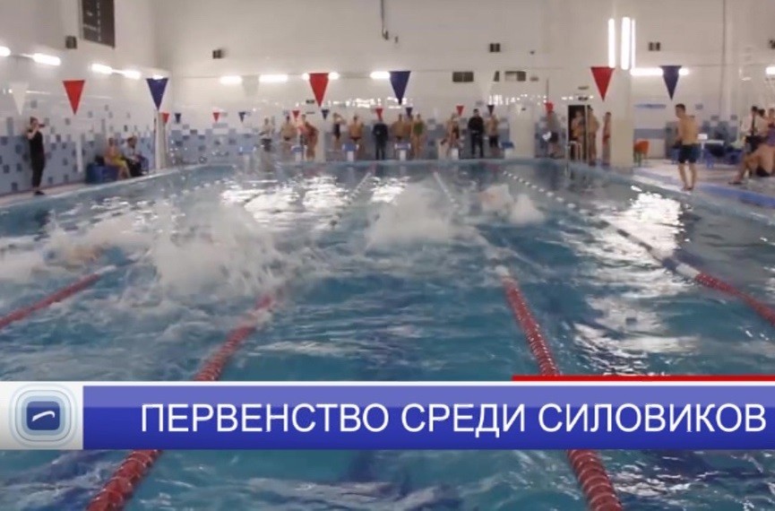 В одном из ФОКов прошло первенство спортивных клубов «Динамо» по плаванию