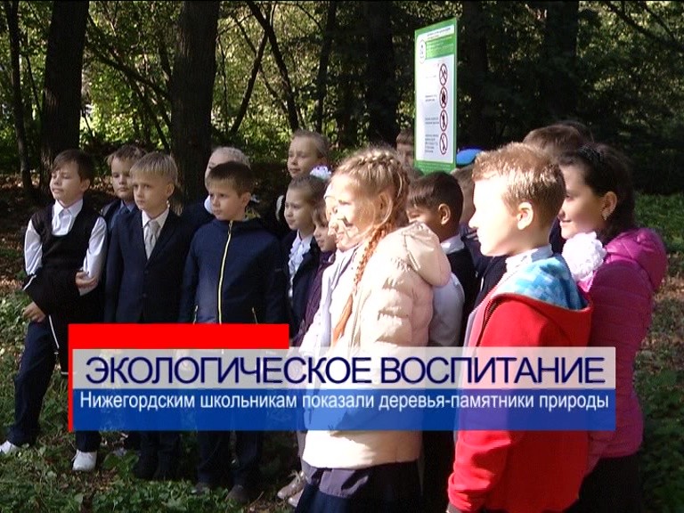 Нижегородским школьникам провели экскурсию по памятникам природы
