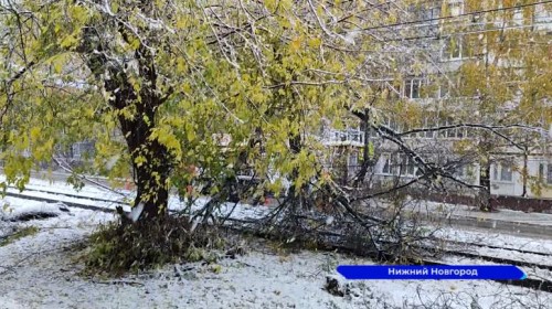9 тысяч жителей Нижегородской области остались без света из-за разгула стихии