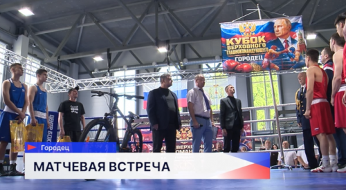 Кубок Верховного Главнокомандующего Вооружёнными силами Российской Федерации Владимира Путина разыгрывается в городецком Центре бокса