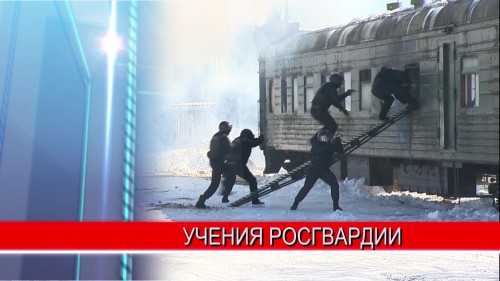 На масштабных учениях в Нижнем Новгороде журналистам продемонстрировали возможности Росгвардии