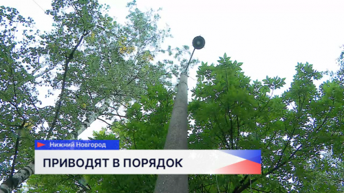 Бесхозные опоры наружного освещения демонтируют в Автозаводском районе