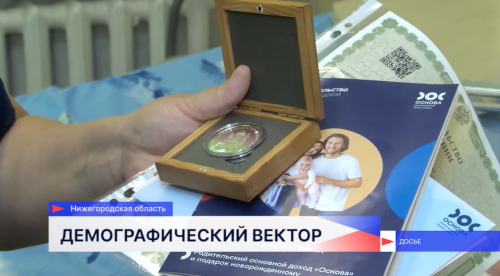 Владимир Путин высоко оценил опыт Нижегородской области в сфере демографической политики