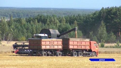 Урожай, собранный в Нижегородской области, побил исторические рекорды