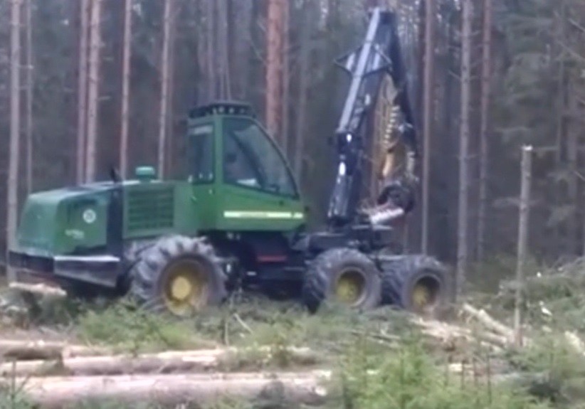 В Нижегородской области задержали предпринимателя, причастного к серии незаконных вырубок