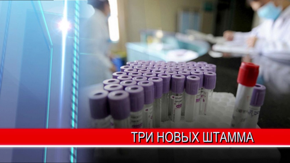Вакцина против гриппа поступит в Нижегородскую область в конце недели