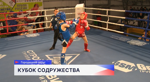 В Городецком районе прошёл первый день Кубка Содружества по муай-тай