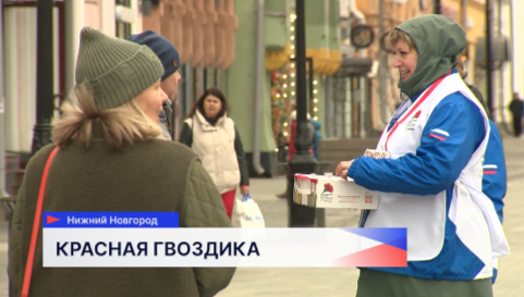 Патриотическая акция «Красная гвоздика» стартовала в Нижегородской области