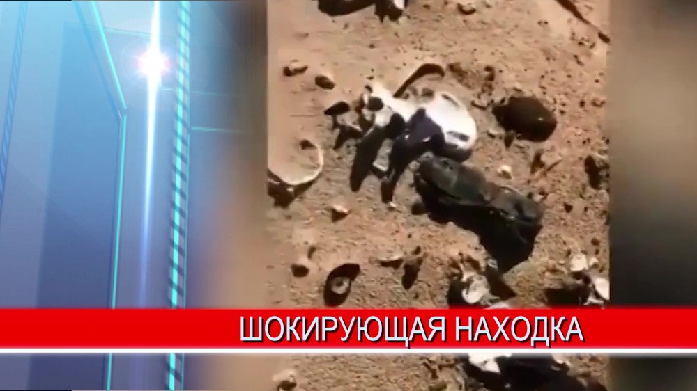 Шокирующая находка обнаружена на окраине Нижнего Новгорода