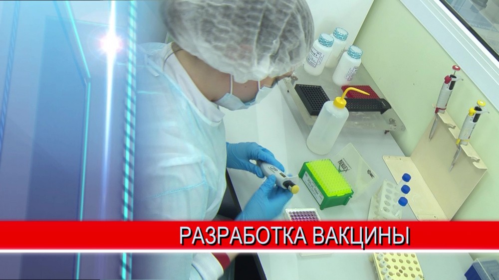 Прототип новой вакцины против коронавируса создан в Нижегородской области