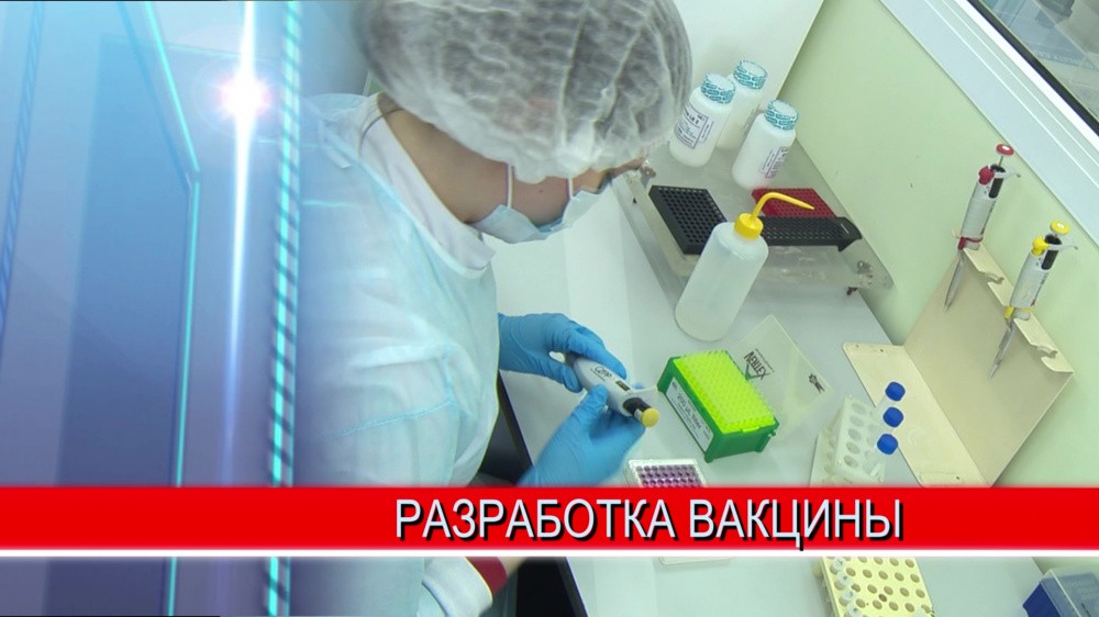 Прототип новой вакцины против коронавируса создан в Нижегородской области Прототип новой вакцины против коронавируса создан в Нижегородской области