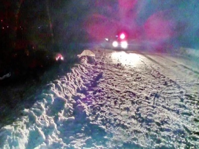 На Бору неопытная девушка-водитель врезалась в дерево