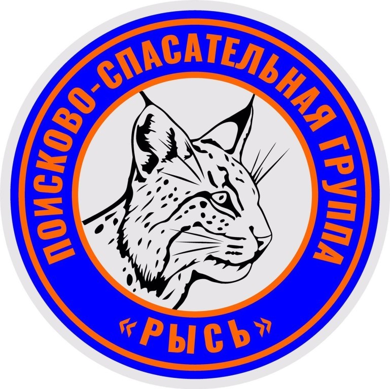 Нижегородские волонтеры вернули домой потерявшегося в Кстове пенсионера