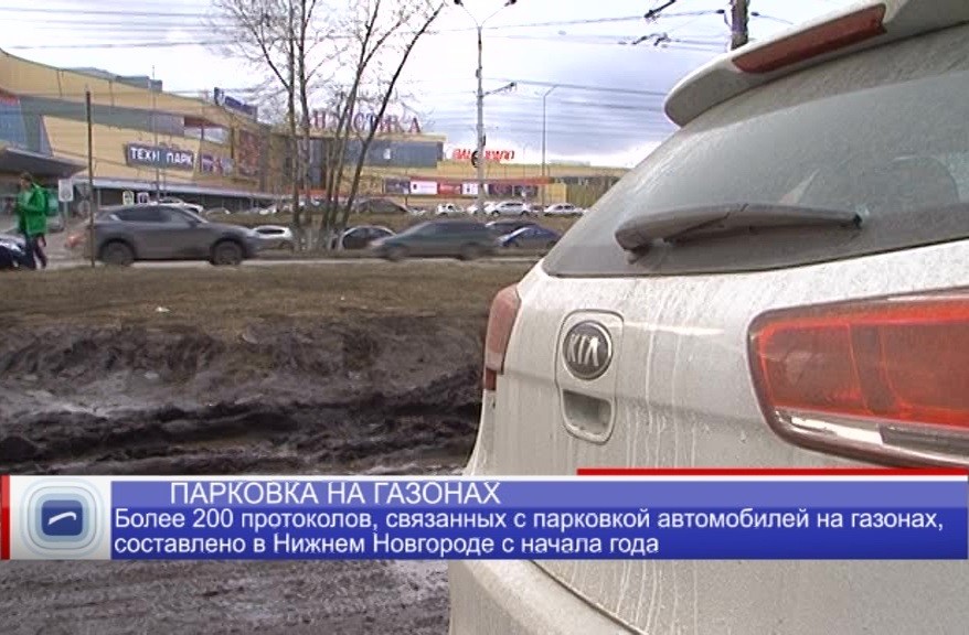 Более 200 протоколов, связанных с парковкой автомобилей на газонах, составлено в Нижнем Новгороде с начала года