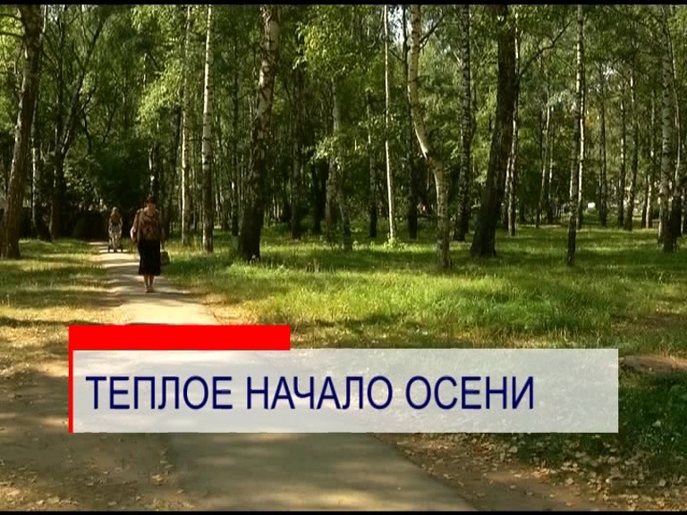 Теплая и сухая погода ожидается 1 сентября в Нижегородской области