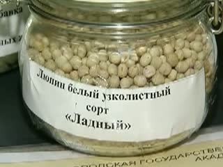 Нижегородское сельское хозяйство становится по-своему популярным и востребованным в разных точках планеты. 