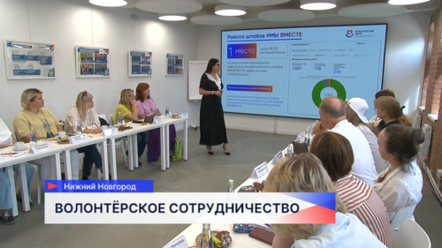 Нижегородские волонтёры провели стратсессию с коллегами из Владимирской области