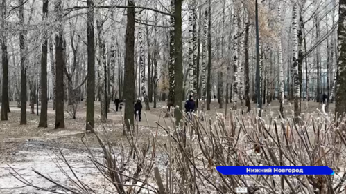 На Нижний Новгород надвигается сильный снегопад