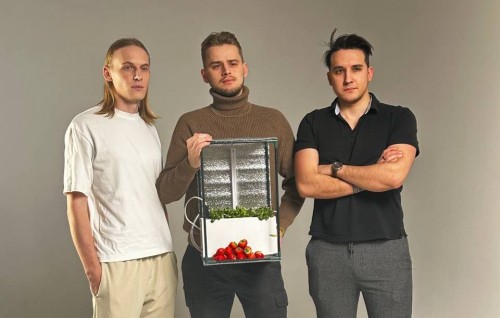 Инновационная технология нижегородцев позволит снабдить регион свежими овощами даже зимой