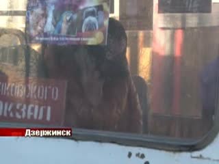 80-ти летняя жительница Дзержинска попала под колеса троллейбуса