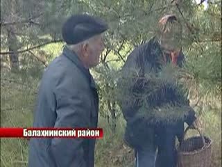 Грибной сезон стал горячим для спасателей и волонтеров.