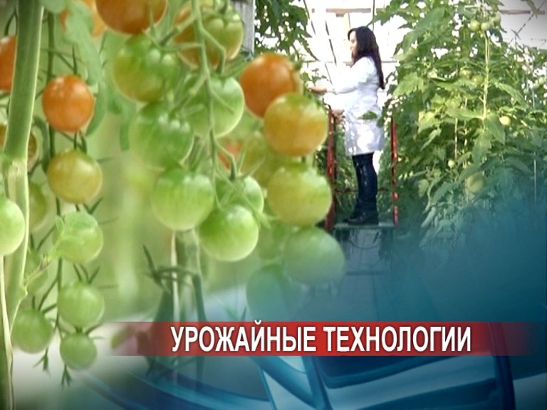 Агрокомбинат "Горьковский" демонстрирует пример внедрения бережливых технологий в сельхозпроизводстве