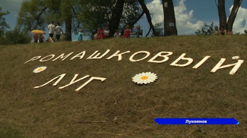 В День семьи, любви и верности в Лукоянове прошел фестиваль «Ромашковый луг»