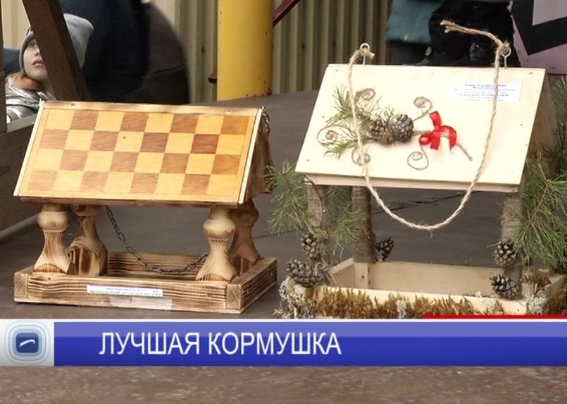 В зоопарке "Лимпопо" наградили победителей конкурса на лучший домик для птиц В зоопарке "Лимпопо" наградили победителей конкурса на лучший домик для птиц