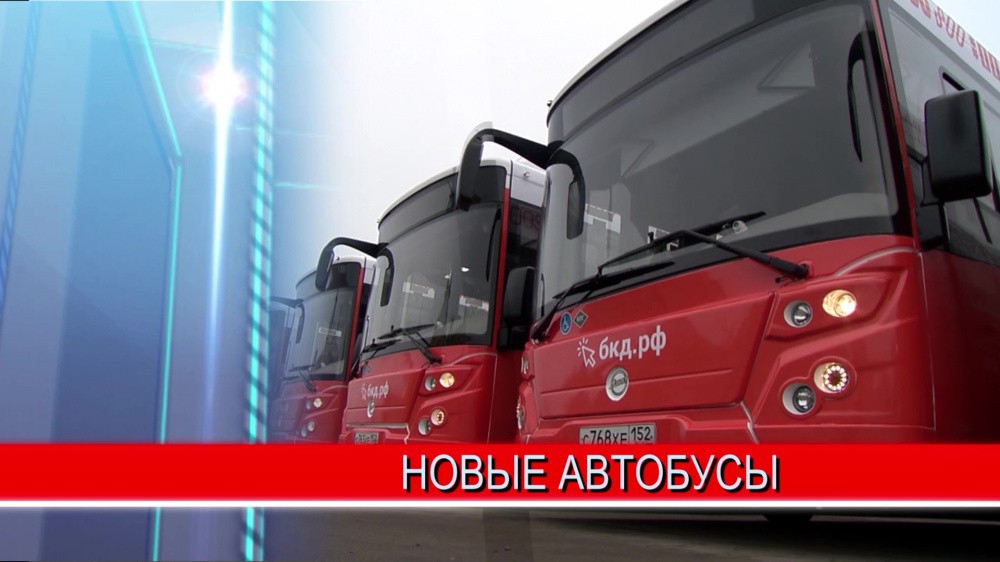 Новые автобусы выйдут на четыре самых популярных маршрута Нижнего Новгорода 