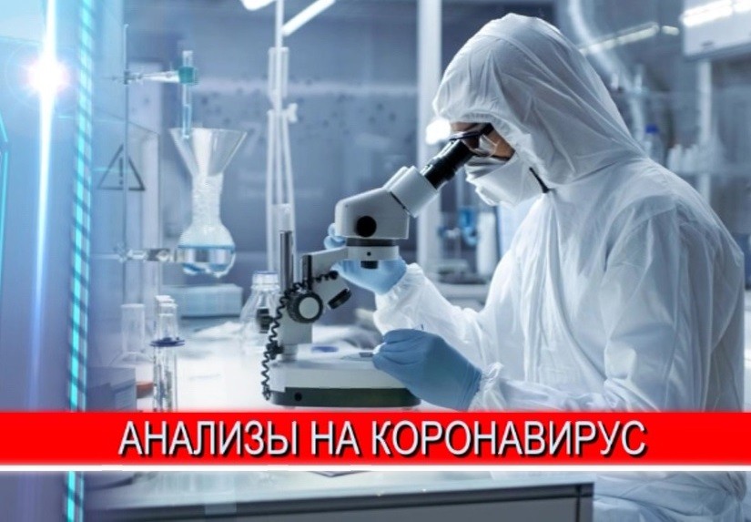 Региональный Роспотребнадзор рассказал о тест-системах для выявления коронавируса 