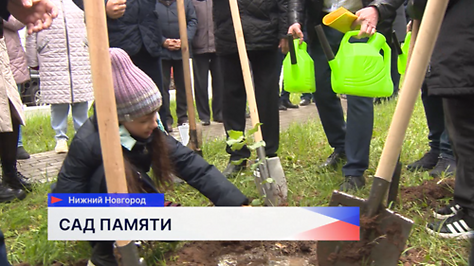 В рамках эколого-патриотической акции «Сад памяти» был высажен саженец сталинградского тополя