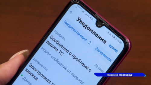 В приложениях «Госуслуги» и «Госуслуги Авто» заработали водительские чаты