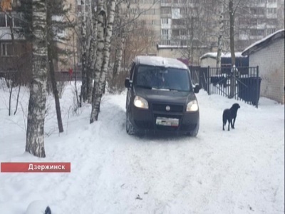 14-летняя школьница оказалась под колесами автомобиля во дворе дома в Дзержинске