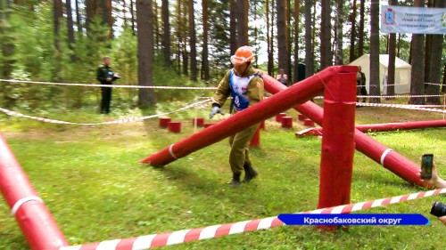 Конкурс «Лучший лесной пожарный» прошёл в Нижегородской области